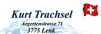 Holzbau Trachsel logo