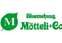 Logo Bluemehuus Mötteli + Co