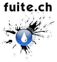 Logo Détecte Fuite Sàrl
