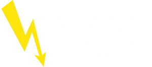 Braun Elektro GmbH