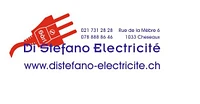 Di Stefano Electricité-Logo