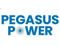 Ryser Consulting & Mental Health GmbH (Pegasus Power) logo