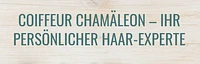Chamäleon Coiffeur-Logo