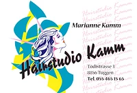 Hairstudio Kamm-Logo