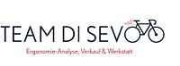 Team Di Sevo GmbH-Logo