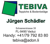 Jürgen Schädler TEBIVA Anstalt logo