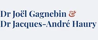 Logo Gagnebin Joël