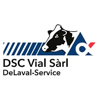 DSC Vial Sarl logo