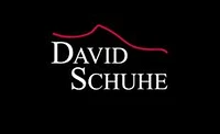 David Schuhe GmbH-Logo