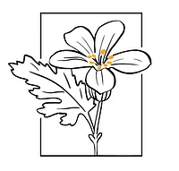 Droguerie l'Etamine Sàrl logo