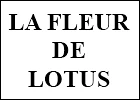 Logo A la fleur de Lotus Sàrl