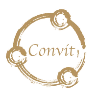 Logo Convit Central GmbH