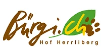 Bürgi.ch AG logo