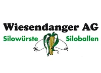 WIESENDANGER AG logo