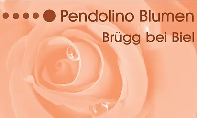 Pendolino Blumen GmbH