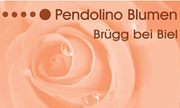Pendolino Blumen GmbH-Logo