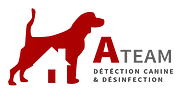 Logo A-Team Désinfection