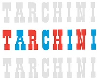 TARCHINI Maler- und Gipsergeschäft GmbH logo