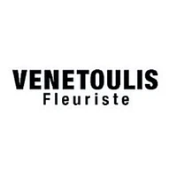 Logo Venetoulis SA
