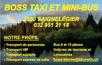 Logo Boss taxi et mini-bus Sàrl