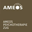 AMEOS Psychotherapie Zug