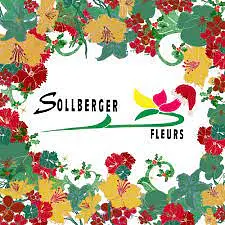 Sollberger Fleurs