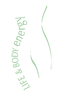 Life & Body Energy logo