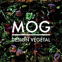 Logo MOG Design Végétal Sàrl
