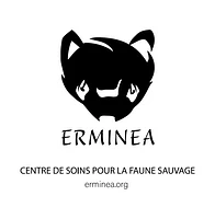 Erminea logo