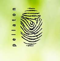 Pellaton Paysagisme logo