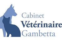Logo Cabinet Vétérinaire Gambetta