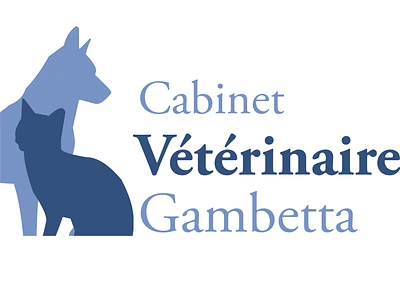 Cabinet Vétérinaire Gambetta