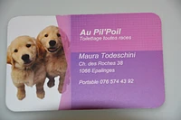 Logo Au Pil'Poil