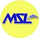 Logo MSL Multi Services Lemania Sàrl