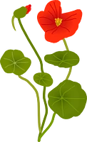 Wilde Blumen logo