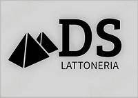 Logo DS. Lattoneria