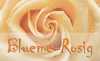 Blueme - Rosig GmbH-Logo