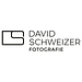 David Schweizer GmbH