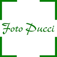 Foto Pucci Sagl logo