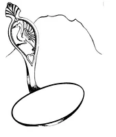 Laiterie de la Sionge logo