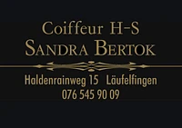 Logo Coiffeur H-S