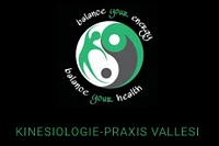Kinesiologie-Praxis Vallesi-Logo