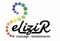 eLiziR logo