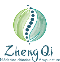 Zheng Qi logo