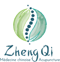 Zheng Qi logo