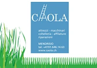 Caola Davide-Logo