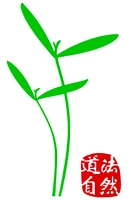 CHinatur Akupunktur und TCM-Logo