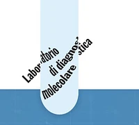 LDM Laboratorio di Diagnostica Molecolare logo