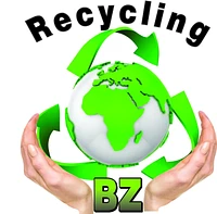 Logo BZ Recycling+Entsorgung