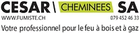César Cheminées-Logo
